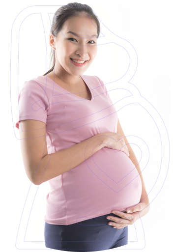 Setores de Atuação Renovar